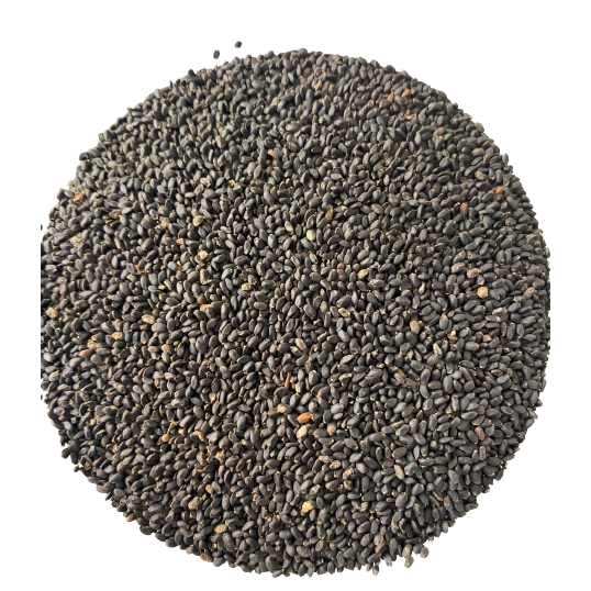 Basil Seeds Rehan Exporter of Basil Seeds Rehan in Deira