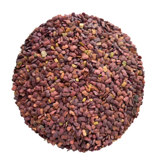 Irani Fenugreek Seeds