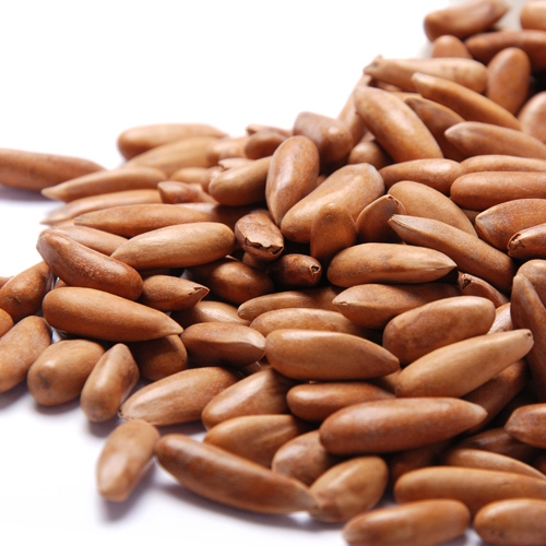 Pine Nut Whole Unshelled (Pakistan)