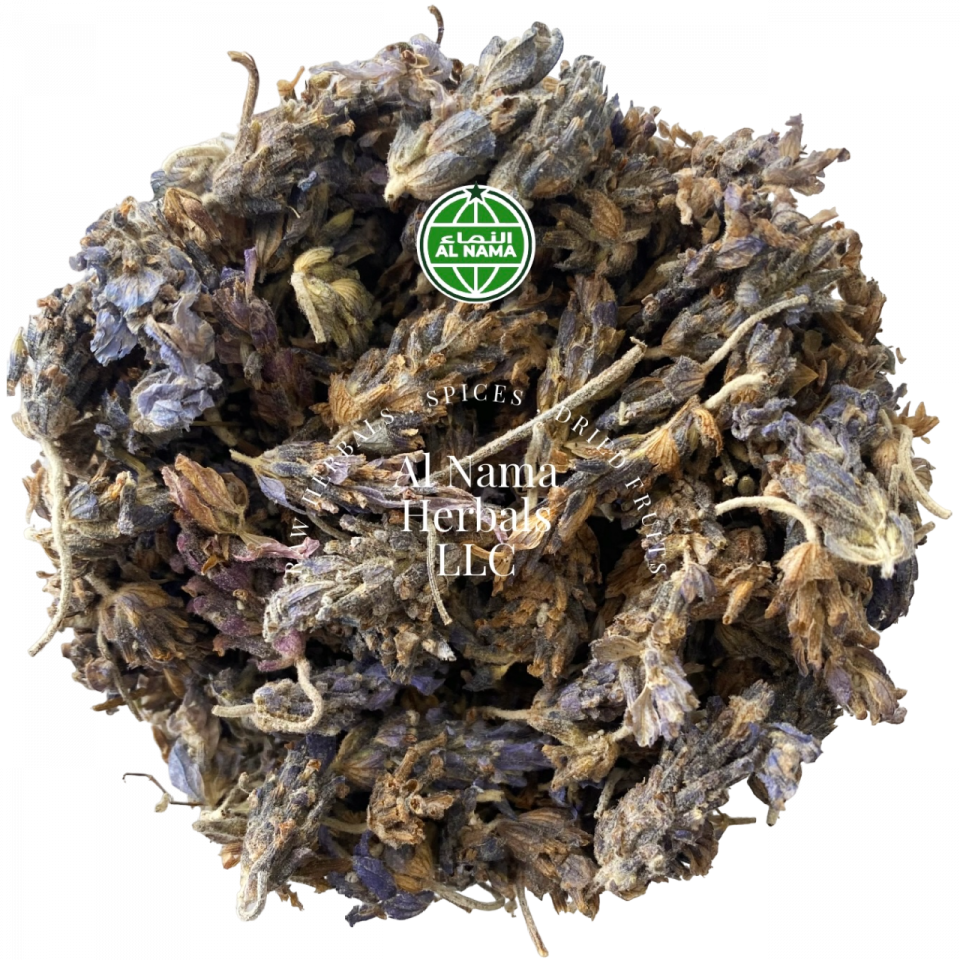 Lavender Flower Exporter of Lavender Flower in Deira Dubai AlNama