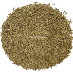 cumin seeds. cumin, spices